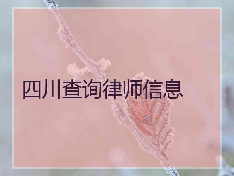 四川查询律师信息