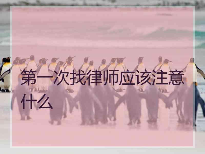 第一次找律师应该注意什么