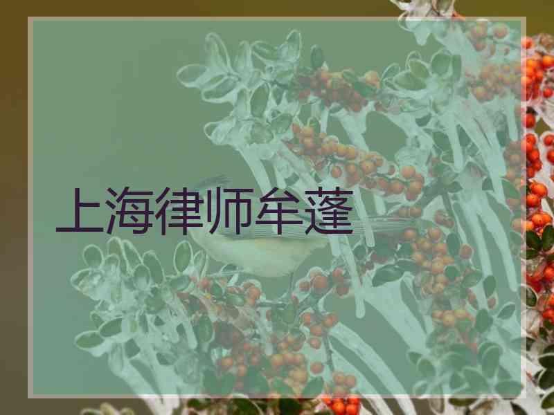 上海律师牟蓬