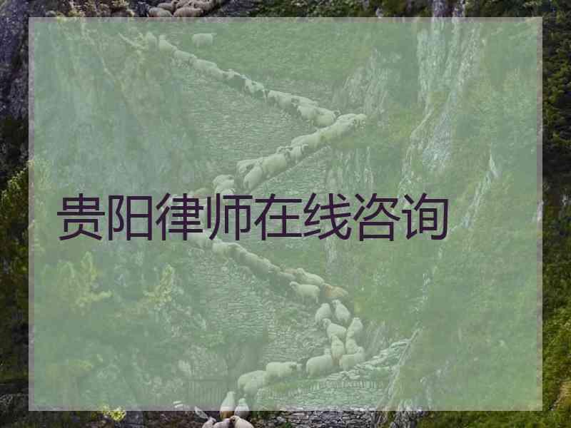 贵阳律师在线咨询