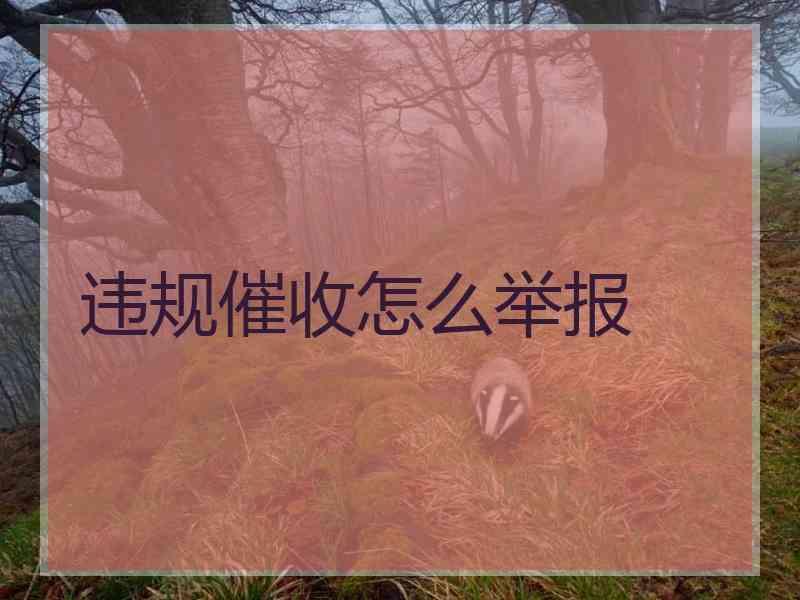 违规催收怎么举报