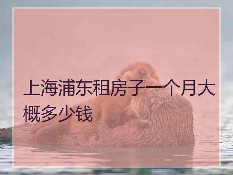 上海浦东租房子一个月大概多少钱