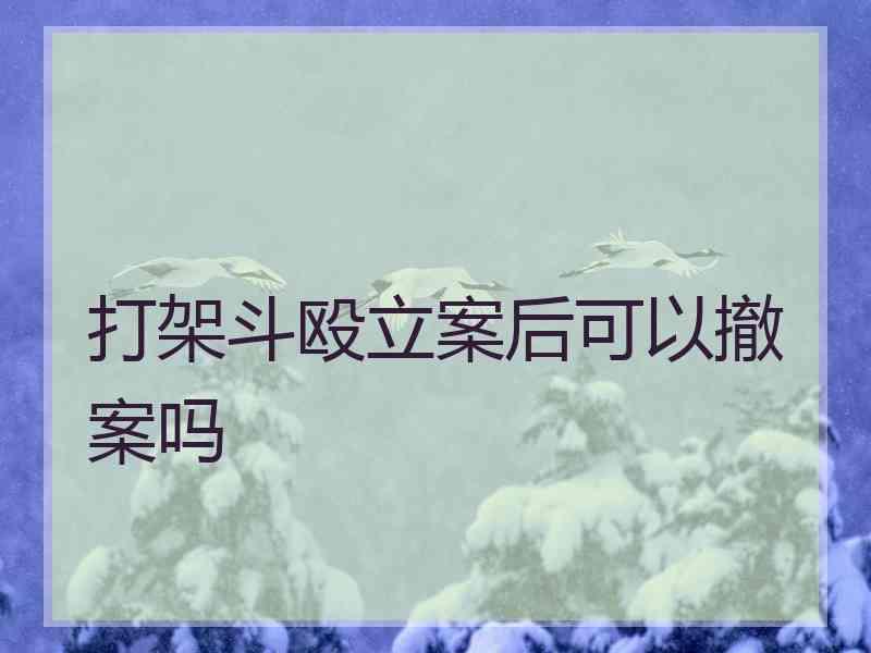 打架斗殴立案后可以撤案吗