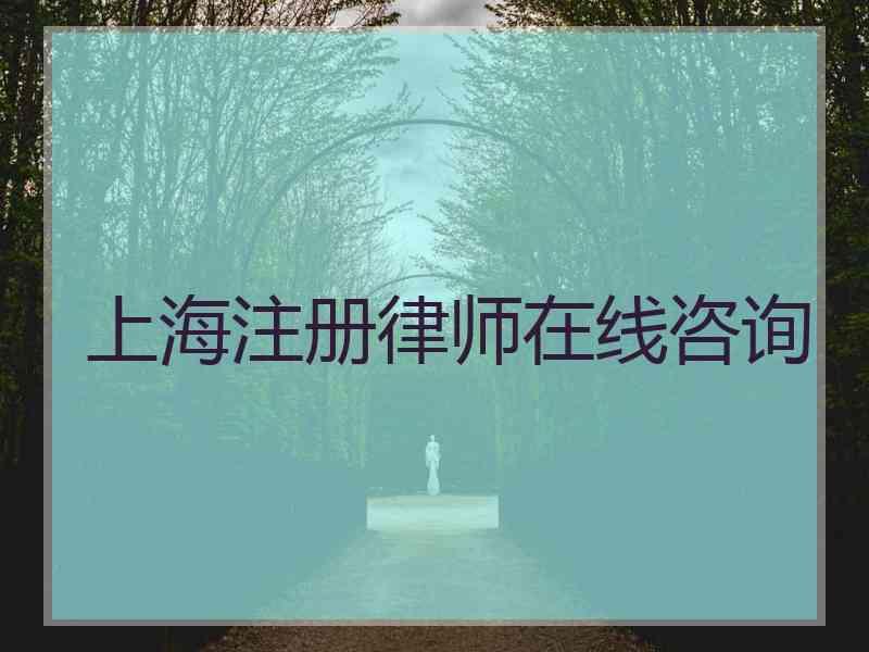 上海注册律师在线咨询