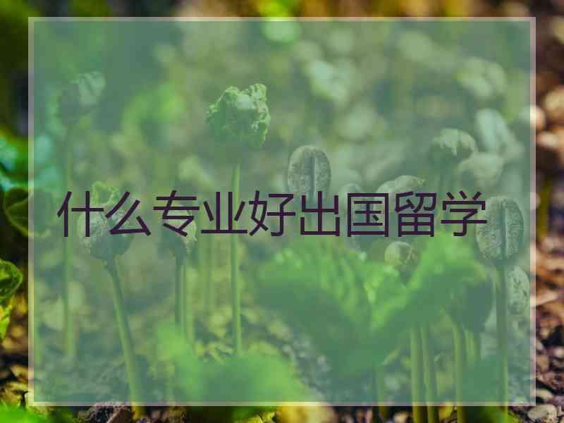 什么专业好出国留学