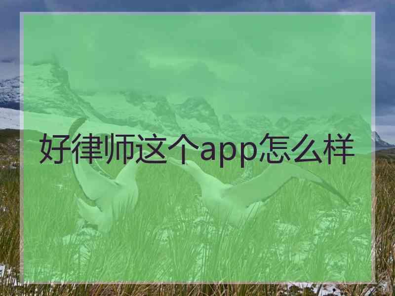 好律师这个app怎么样
