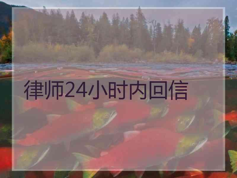 律师24小时内回信