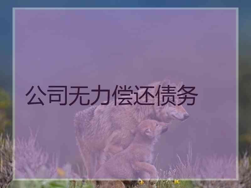 公司无力偿还债务