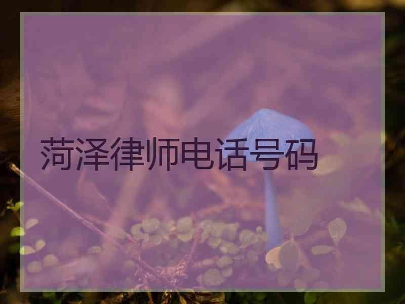 菏泽律师电话号码