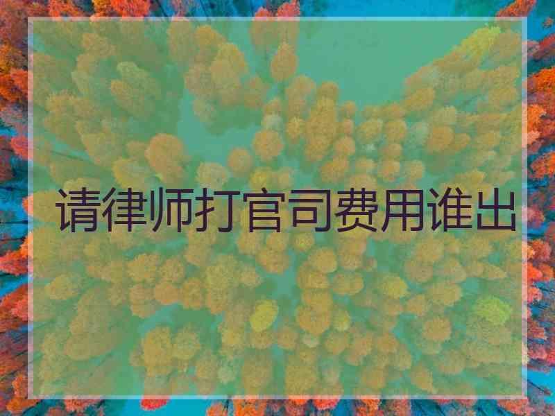 请律师打官司费用谁出