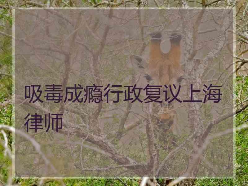 吸毒成瘾行政复议上海律师