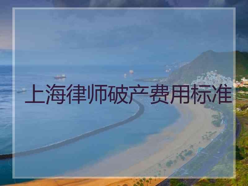 上海律师破产费用标准