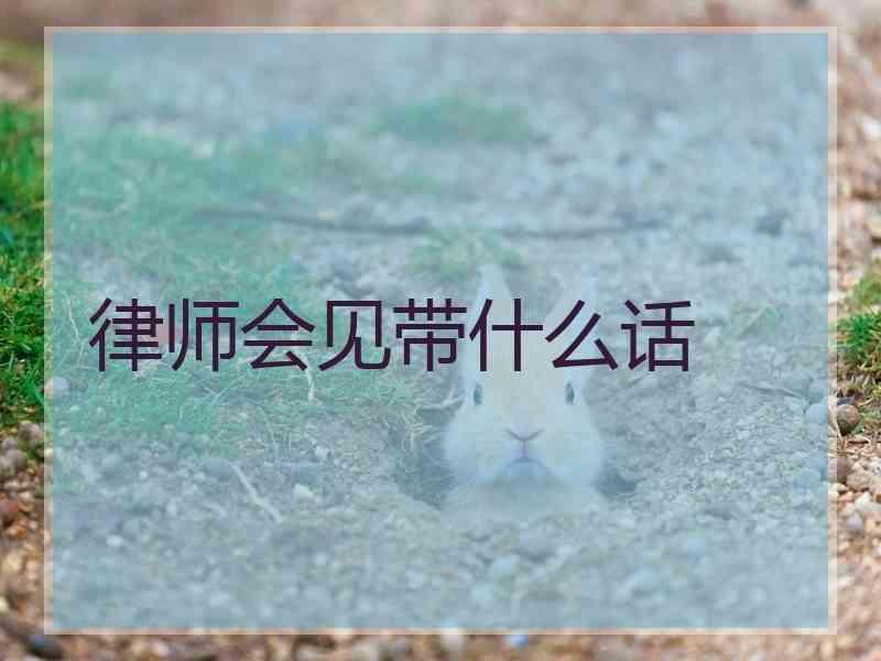 律师会见带什么话
