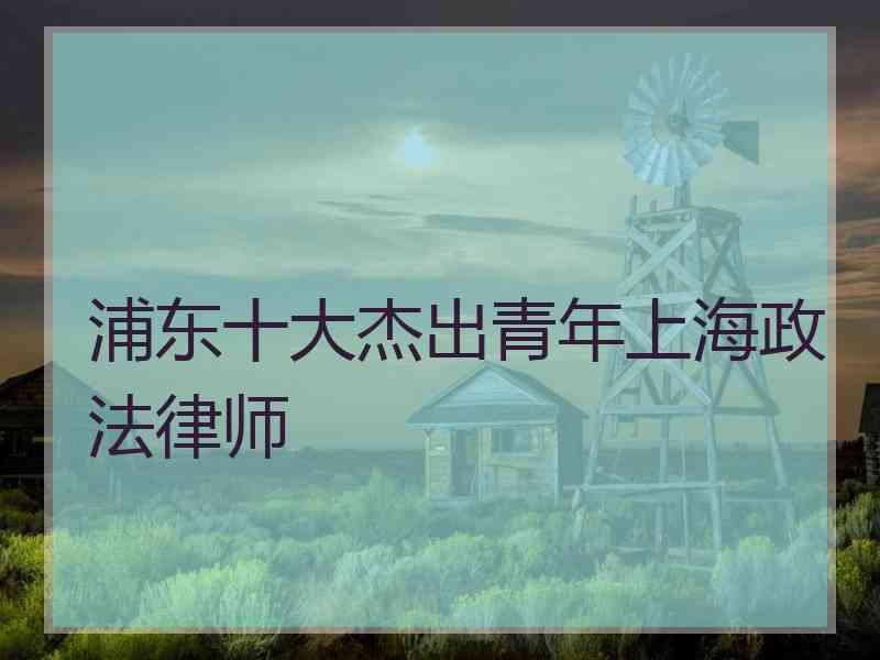 浦东十大杰出青年上海政法律师