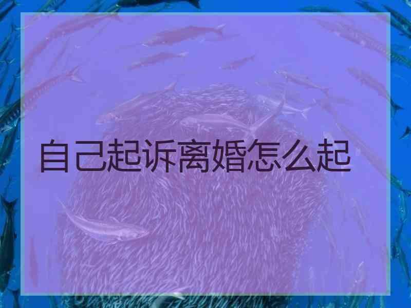 自己起诉离婚怎么起