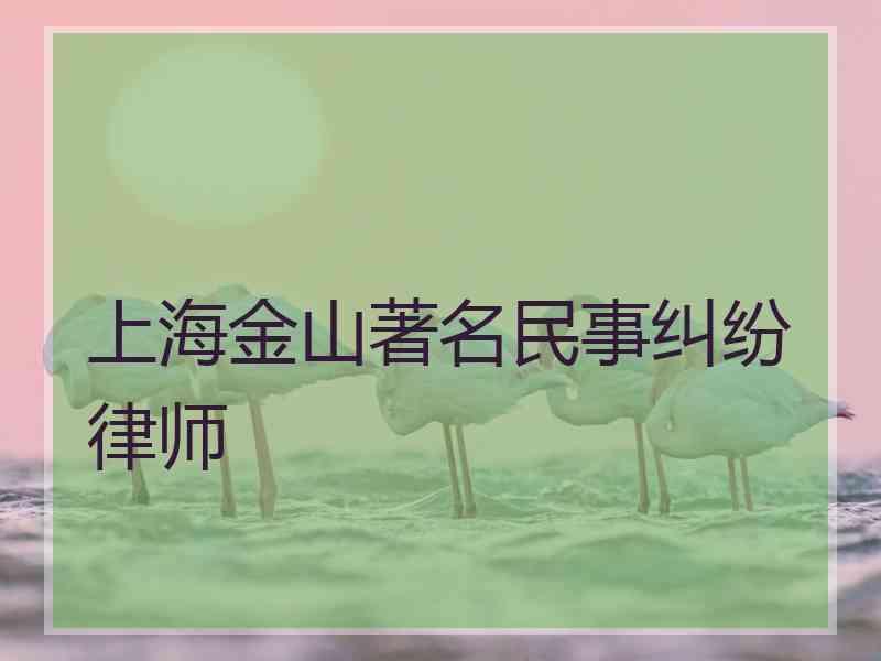 上海金山著名民事纠纷律师