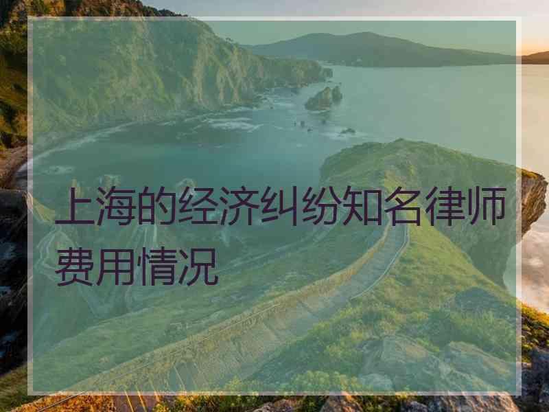 上海的经济纠纷知名律师费用情况