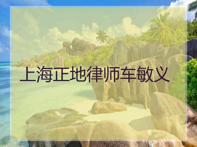 上海正地律师车敏义