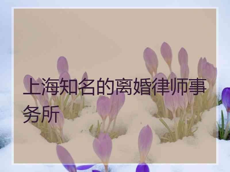 上海知名的离婚律师事务所