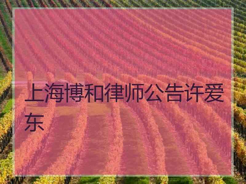 上海博和律师公告许爱东