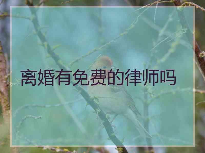 离婚有免费的律师吗