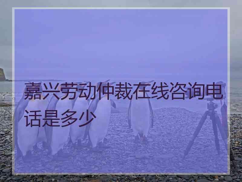 嘉兴劳动仲裁在线咨询电话是多少