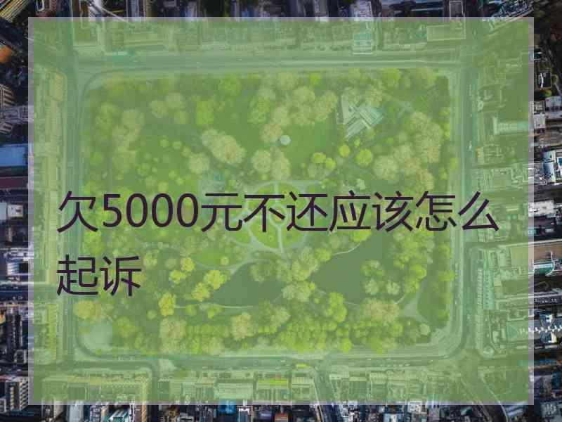 欠5000元不还应该怎么起诉