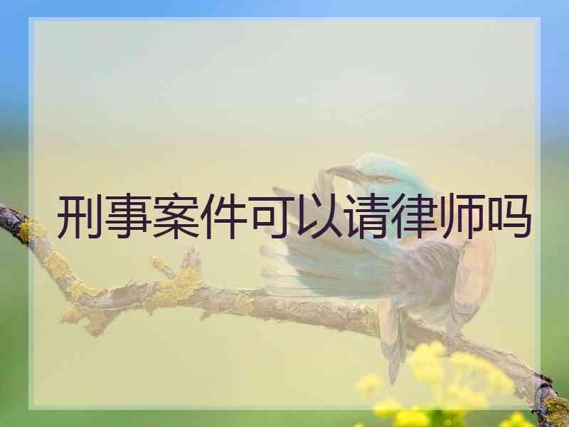 刑事案件可以请律师吗