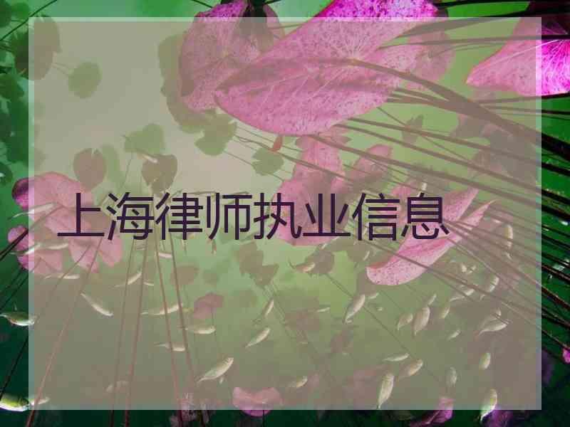 上海律师执业信息