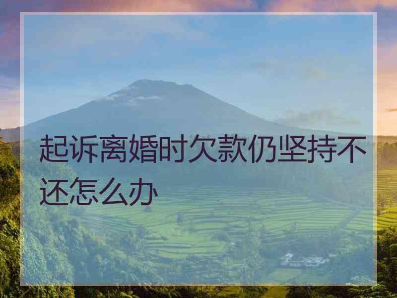 起诉离婚时欠款仍坚持不还怎么办