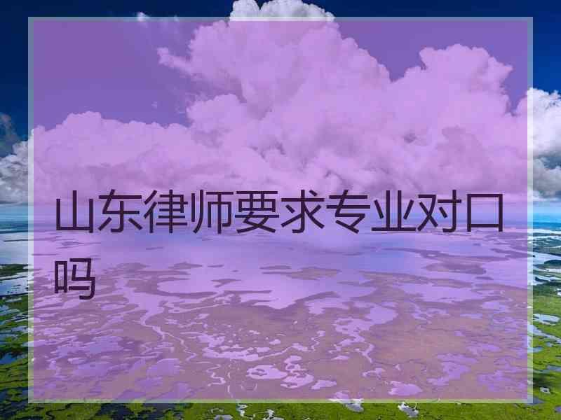 山东律师要求专业对口吗