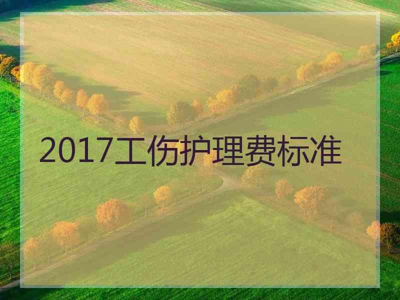 2017工伤护理费标准