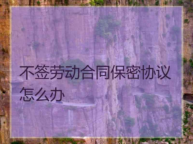 不签劳动合同保密协议怎么办