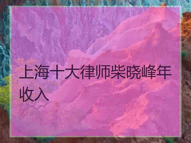 上海十大律师柴晓峰年收入