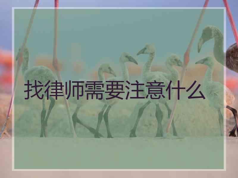 找律师需要注意什么