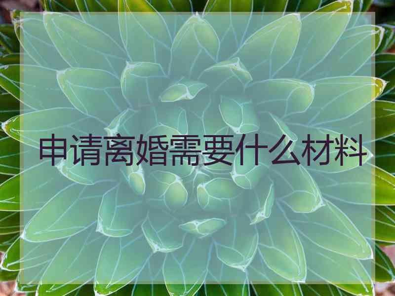 申请离婚需要什么材料