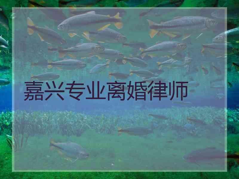 嘉兴专业离婚律师