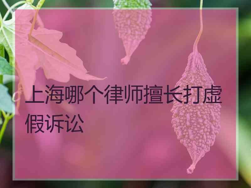 上海哪个律师擅长打虚假诉讼