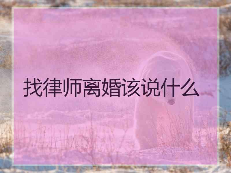 找律师离婚该说什么