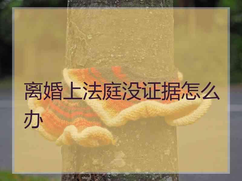 离婚上法庭没证据怎么办