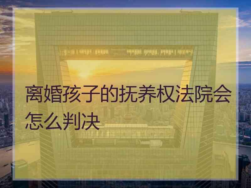 离婚孩子的抚养权法院会怎么判决