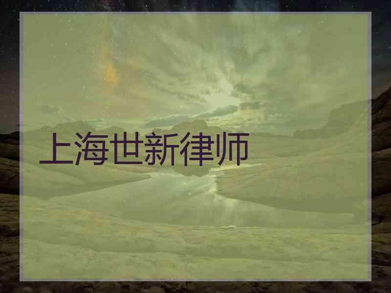 上海世新律师