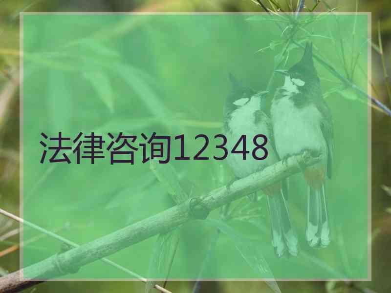 法律咨询12348