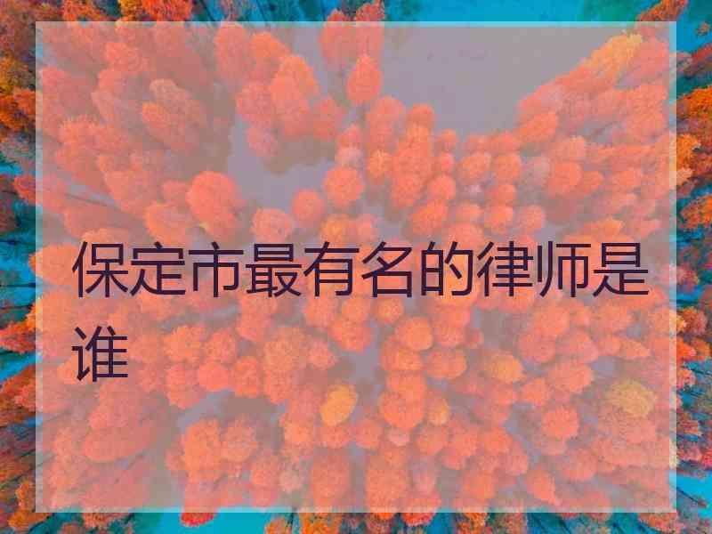 保定市最有名的律师是谁