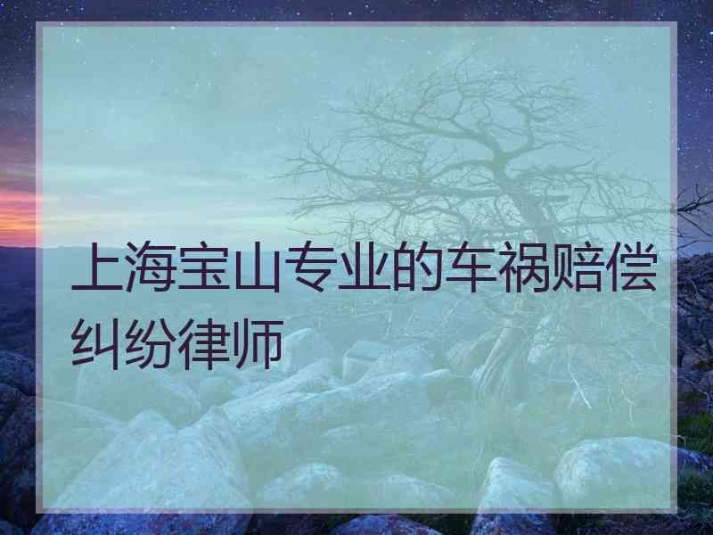 上海宝山专业的车祸赔偿纠纷律师