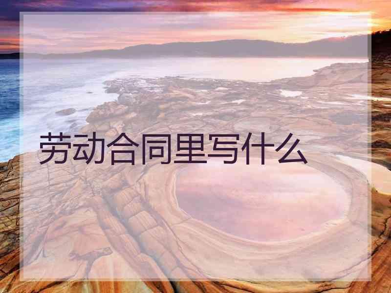 劳动合同里写什么