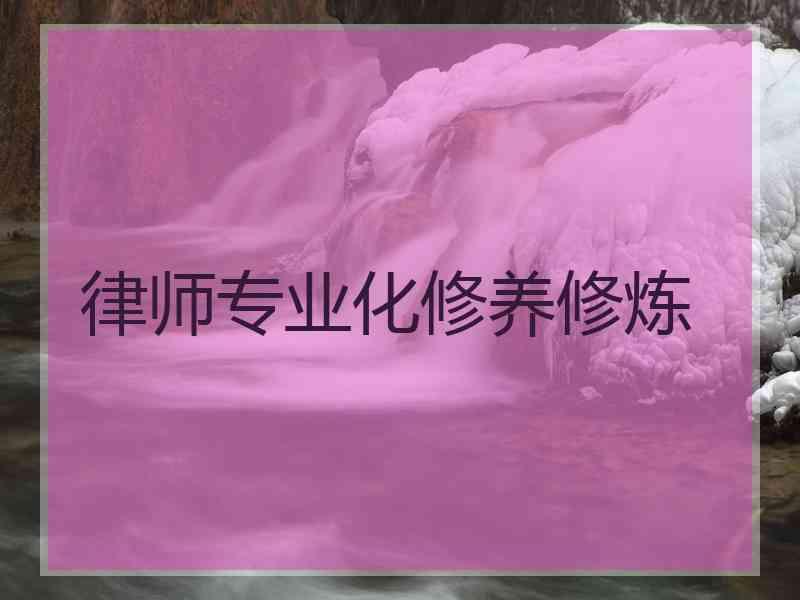律师专业化修养修炼