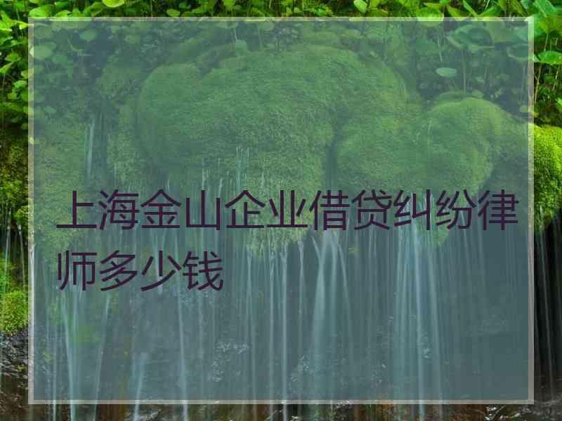 上海金山企业借贷纠纷律师多少钱