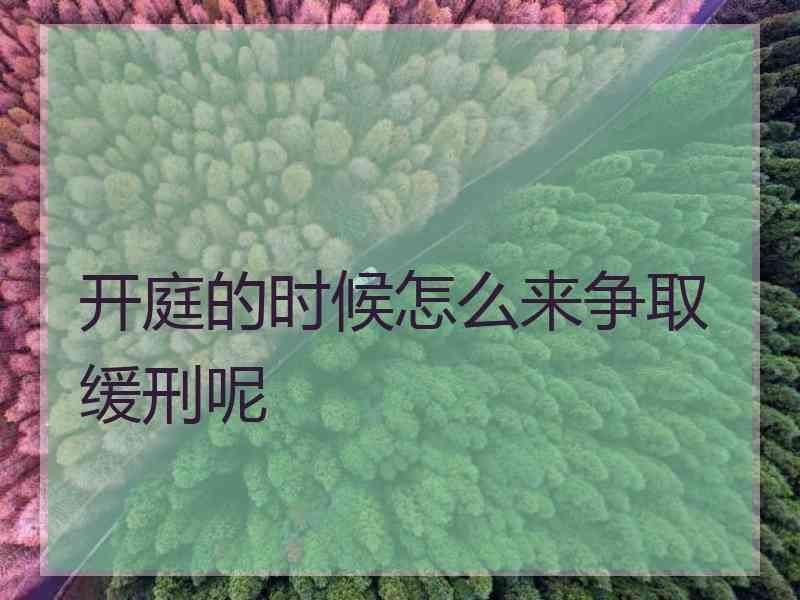 开庭的时候怎么来争取缓刑呢