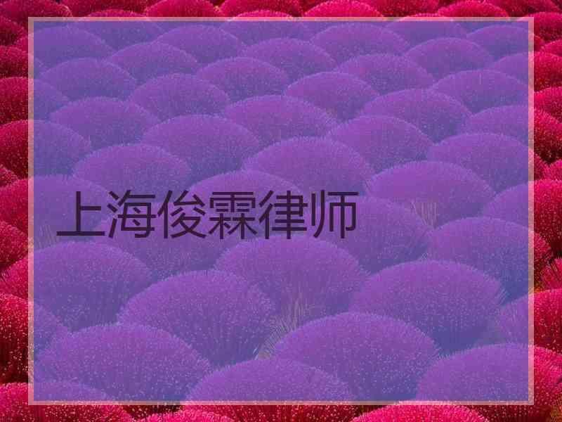 上海俊霖律师